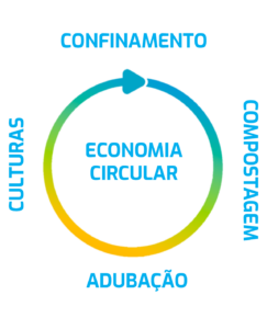 ECONOMIA CIRCULAR