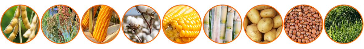culturas algar farming